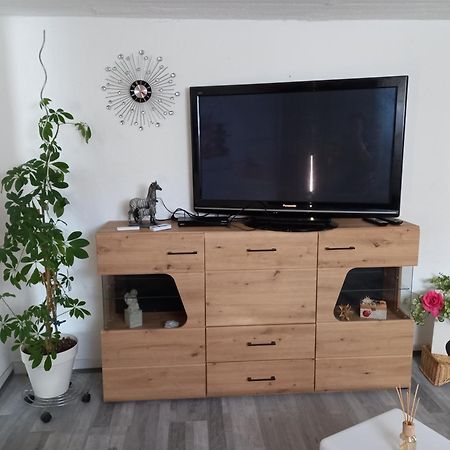 60 M² Ferienapartment Zentrumsnahe Mit Gartenbenutzung Steyr Eksteriør billede