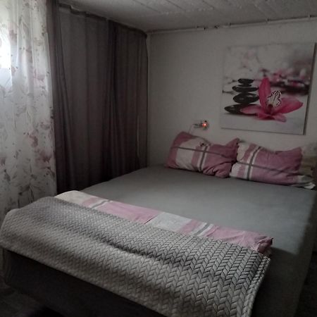 60 M² Ferienapartment Zentrumsnahe Mit Gartenbenutzung Steyr Eksteriør billede