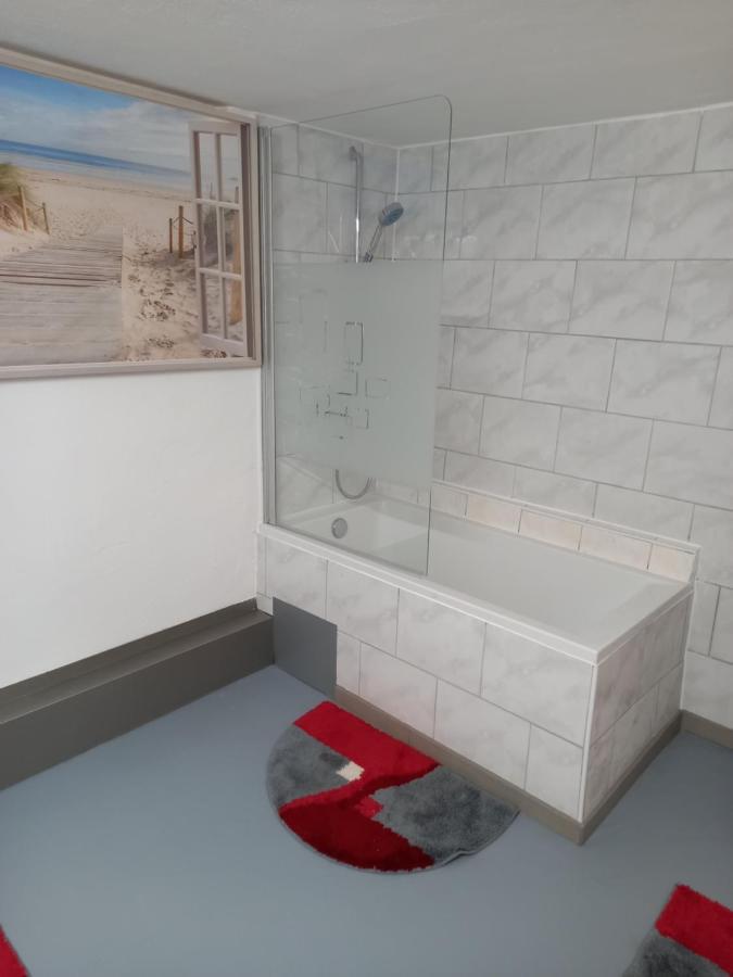 60 M² Ferienapartment Zentrumsnahe Mit Gartenbenutzung Steyr Eksteriør billede