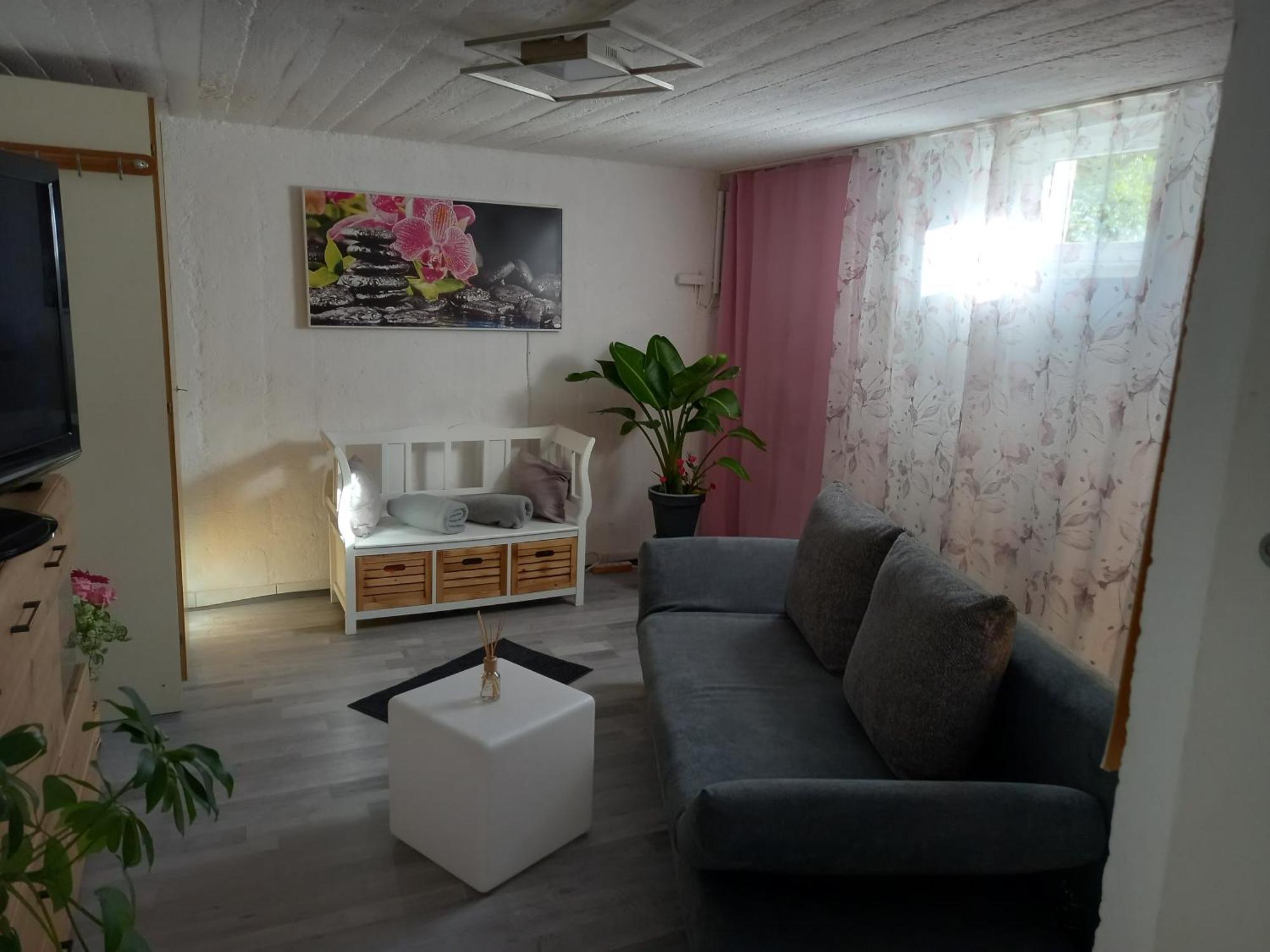60 M² Ferienapartment Zentrumsnahe Mit Gartenbenutzung Steyr Eksteriør billede