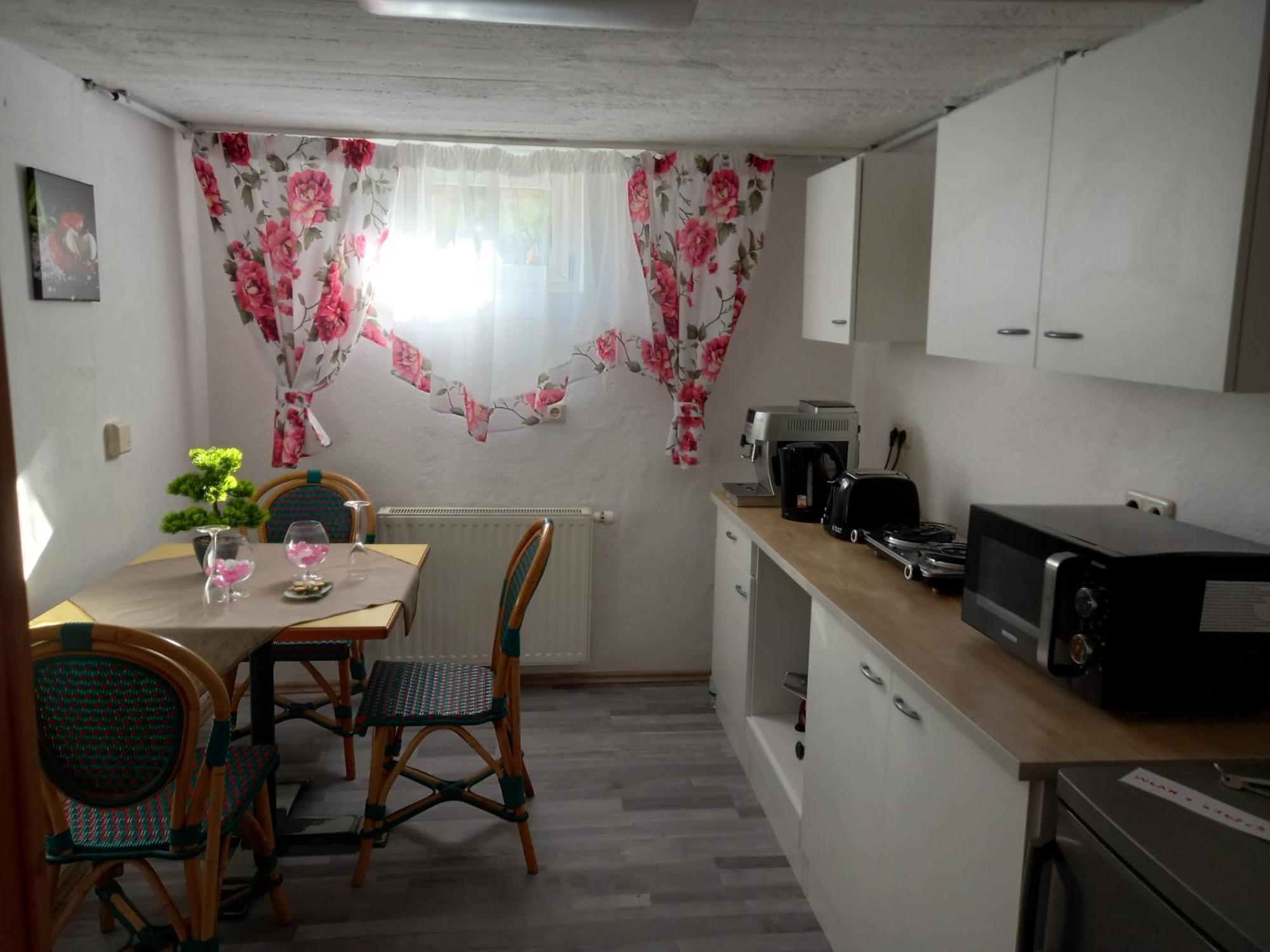60 M² Ferienapartment Zentrumsnahe Mit Gartenbenutzung Steyr Eksteriør billede