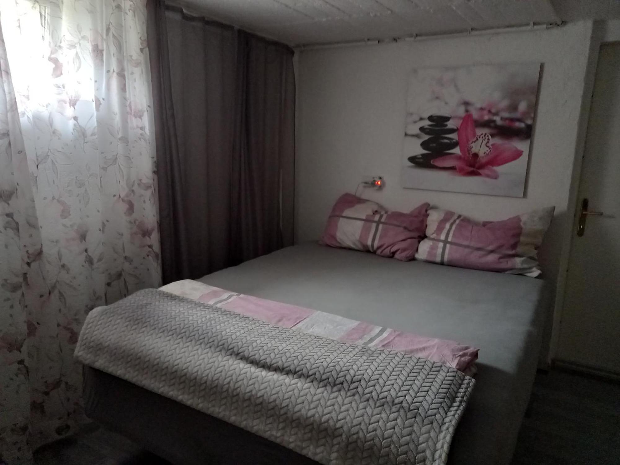 60 M² Ferienapartment Zentrumsnahe Mit Gartenbenutzung Steyr Eksteriør billede
